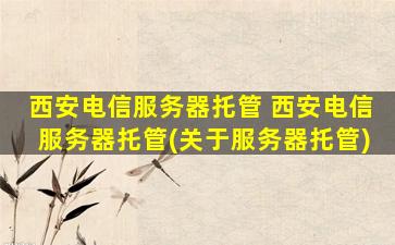西安电信服务器托管 西安电信服务器托管(关于服务器托管)